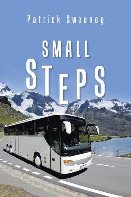 Book cover for Small Steps