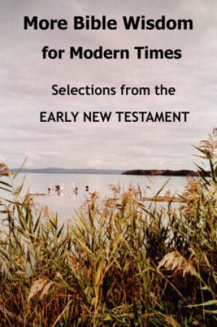 Cover of More Bible Wisdom for Modern Times: Selections from the Early New Testament