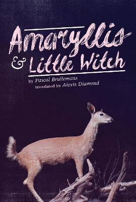 Book cover for Amaryllis & Little Witch