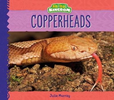 Book cover for Copperheads