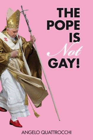 Cover of The Pope Is Not Gay!