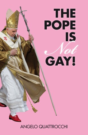 Book cover for The Pope Is Not Gay!