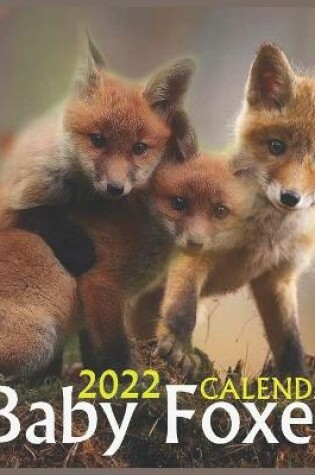 Cover of Baby Foxes CALENDAR 2022