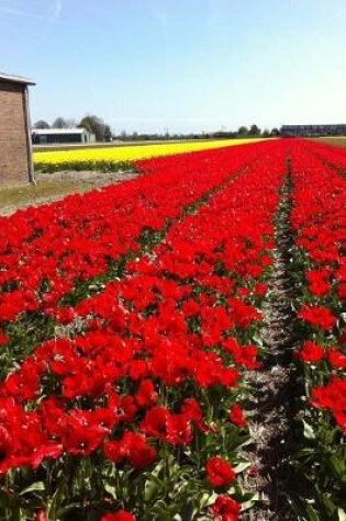 Cover of Magnificent Red Tulip Farm in Holland Journal