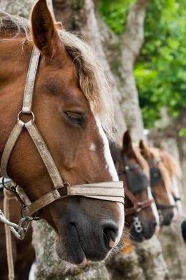 Book cover for Horses in a Row Journal