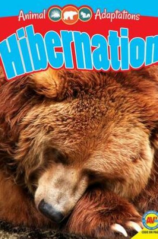 Cover of Hibernation