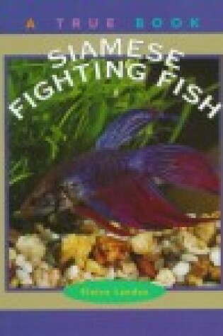 Cover of Siamese Fighting Fish