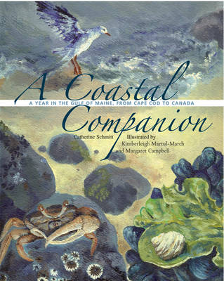 Book cover for A Coastal Companion
