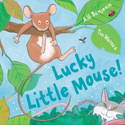 Cover of Lucky Little Mouse