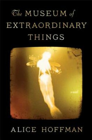 Cover of The Museum of Extraordinary Things