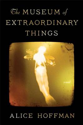 Book cover for The Museum of Extraordinary Things