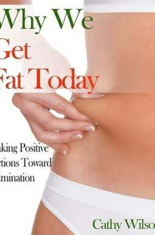 Cover of Why We Get Fat Today: Taking Positive Actions Toward Elimination