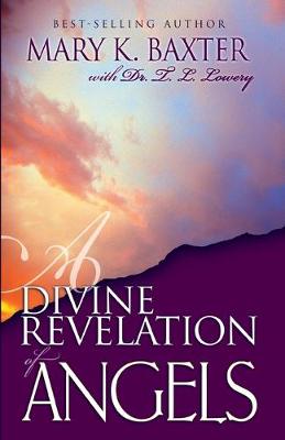 Book cover for Divine Revelation of Angels