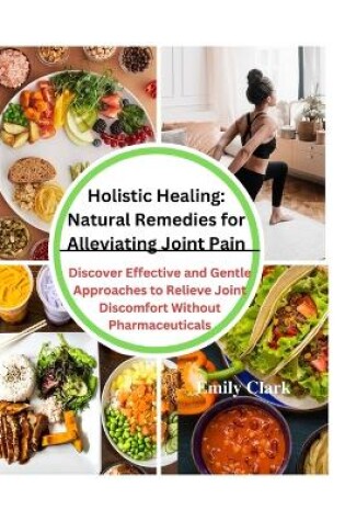 Cover of Holistic Healing