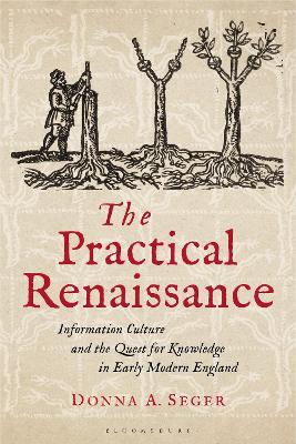 Book cover for The Practical Renaissance