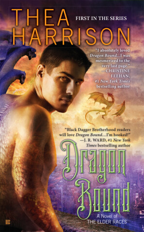 Book cover for Dragon Bound