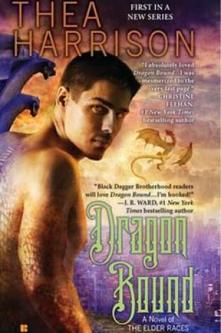 Cover of Dragon Bound