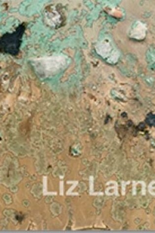 Cover of Liz Larner