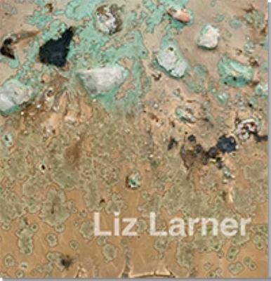 Book cover for Liz Larner