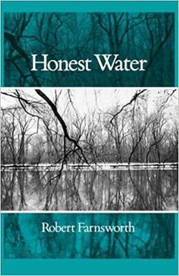 Book cover for Honest Water