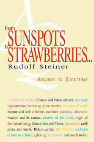 Cover of From Sunspots to Strawberries