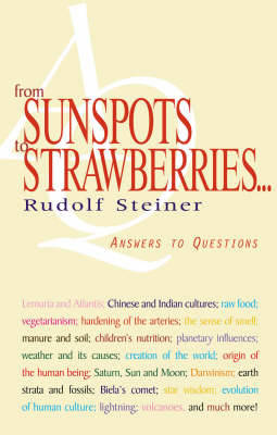 Book cover for From Sunspots to Strawberries