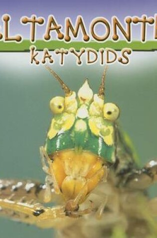 Cover of Saltamontes (Katydids)