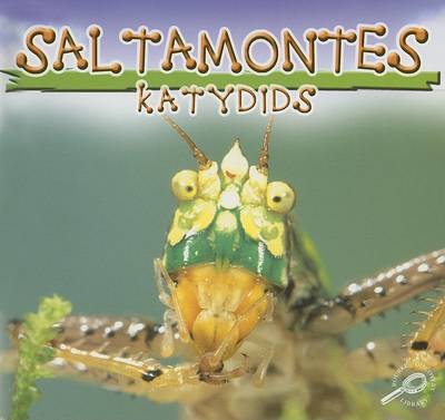 Book cover for Saltamontes (Katydids)