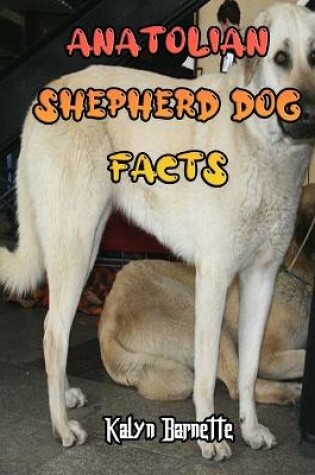 Cover of Anatolian Shepherd Dog Facts