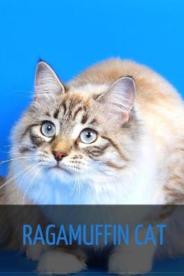 Book cover for Ragamuffin Cat