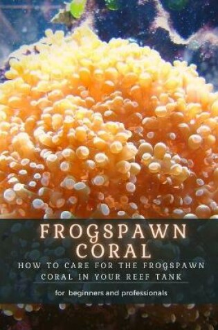 Cover of Frogspawn Coral