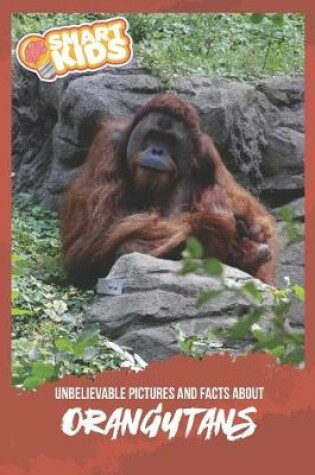 Cover of Unbelievable Pictures and Facts About Orangutans