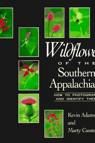 Cover of Wildflowers of the Southern Appalachians