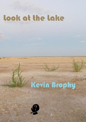 Book cover for Look at the Lake