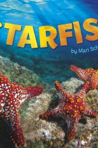 Cover of Starfish