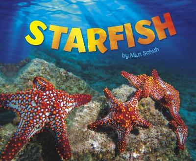 Cover of Starfish