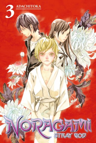 Book cover for Noragami Volume 3
