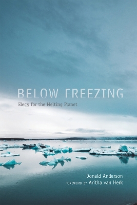 Book cover for Below Freezing