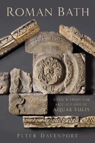 Cover of Roman Bath