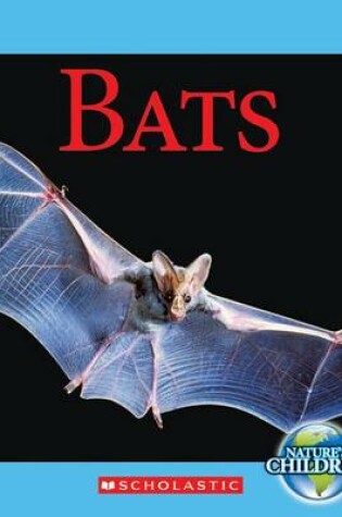 Cover of Bats