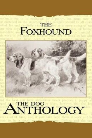 Cover of The Foxhound & Harrier - A Dog Anthology (A Vintage Dog Books Breed Classic)