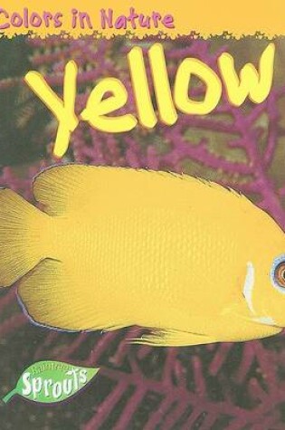 Cover of Yellow