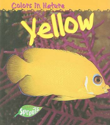 Cover of Yellow