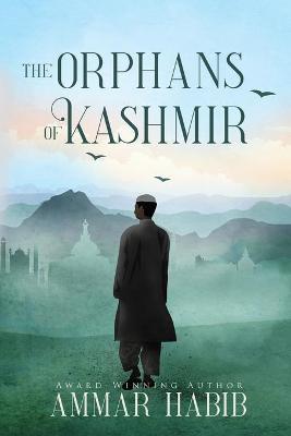 Book cover for The Orphans of Kashmir