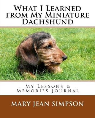 Book cover for What I Learned from My Miniature Dachshund