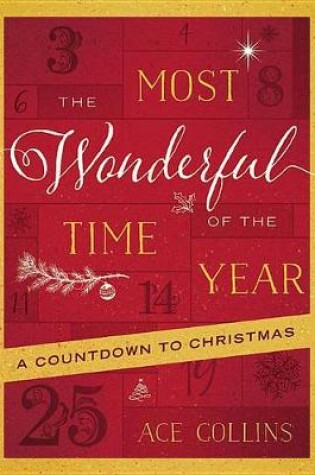 Cover of Most Wonderful Time of the Year, The