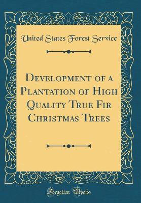 Book cover for Development of a Plantation of High Quality True Fir Christmas Trees (Classic Reprint)