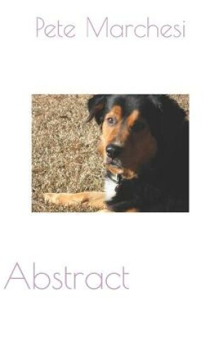 Cover of Abstract