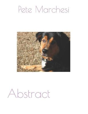 Book cover for Abstract