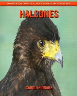 Book cover for Halcones